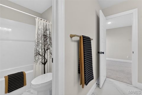 Tiny photo for 217 Bottlebrush Grove Court, Cottleville, MO 63304 (MLS # 25078233)