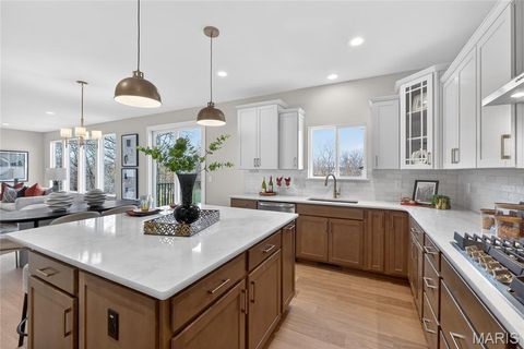 Tiny photo for 217 Bottlebrush Grove Court, Cottleville, MO 63304 (MLS # 25078233)