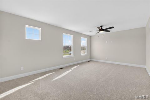 Tiny photo for 217 Bottlebrush Grove Court, Cottleville, MO 63304 (MLS # 25078233)