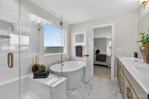 Tiny photo for 217 Bottlebrush Grove Court, Cottleville, MO 63304 (MLS # 25078233)