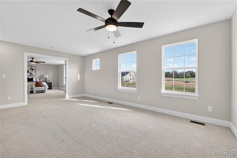 Tiny photo for 217 Bottlebrush Grove Court, Cottleville, MO 63304 (MLS # 25078233)