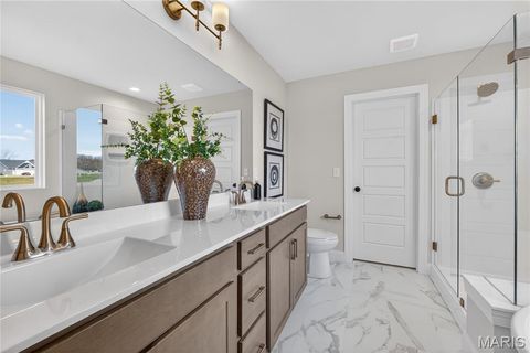 Tiny photo for 217 Bottlebrush Grove Court, Cottleville, MO 63304 (MLS # 25078233)