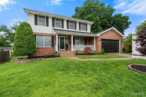 Photo of 4410 Fatima Drive, Unincorporated, MO 63123 (MLS # 26030799)