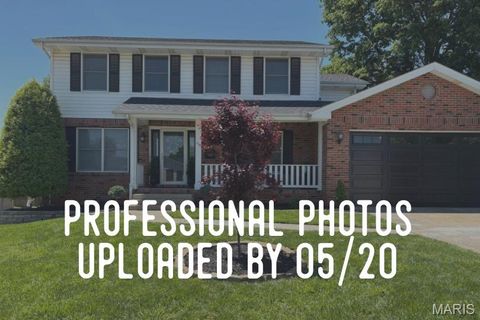 Photo of 4410 Fatima Drive, Unincorporated, MO 63123 (MLS # 26030799)