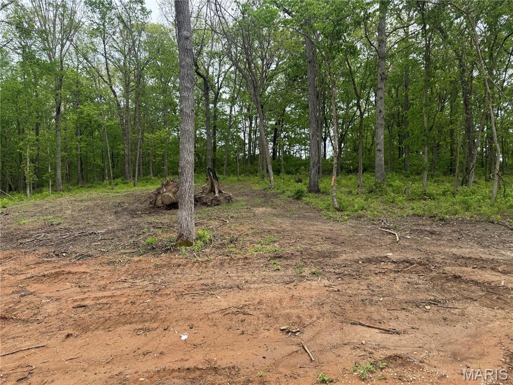 2988 Scott Road