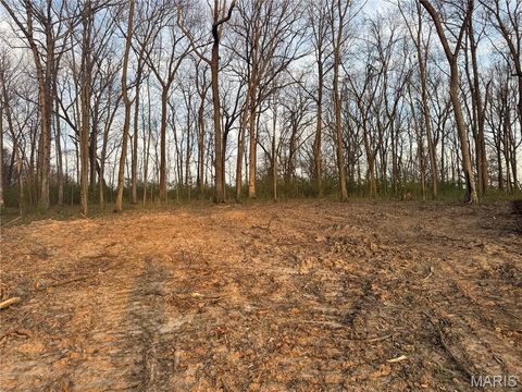 Tiny photo for 2988 Scott Road, Moscow Mills, MO 63362 (MLS # 26018840)