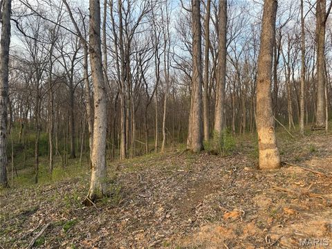 Tiny photo for 2988 Scott Road, Moscow Mills, MO 63362 (MLS # 26018840)