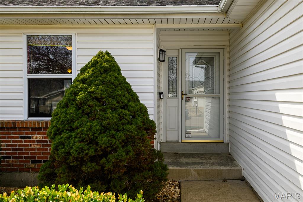 Pine Tree Court - Residential