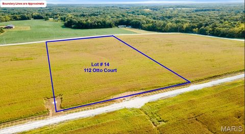 Photo of 112 Otto Court, Silex, MO 63377 (MLS # 26020411)