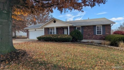Photo of 105 Hickory Drive, Troy, MO 63379 (MLS # 25077893)