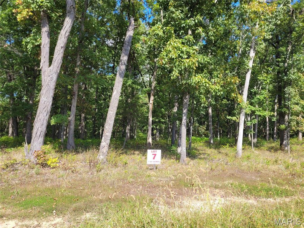 235 Hidden Sanctuary (Lot 7) Drive