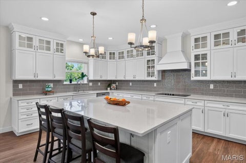 Tiny photo for 823 Silver Buck Lane, Chesterfield, MO 63005 (MLS # 26059085)
