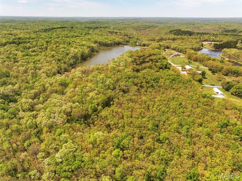 Tiny photo for 2551 Yellow Rock Road, De Soto, MO 63020 (MLS # 26024676)