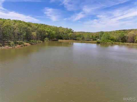 Tiny photo for 2551 Yellow Rock Road, De Soto, MO 63020 (MLS # 26024676)