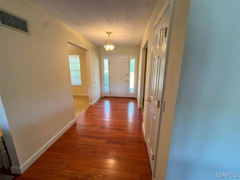 Tiny photo for 2551 Yellow Rock Road, De Soto, MO 63020 (MLS # 26024676)