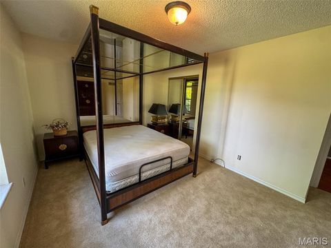 Tiny photo for 2551 Yellow Rock Road, De Soto, MO 63020 (MLS # 26024676)