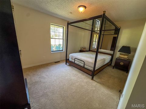 Tiny photo for 2551 Yellow Rock Road, De Soto, MO 63020 (MLS # 26024676)