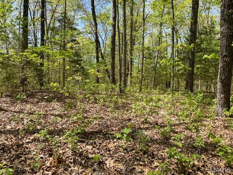Tiny photo for 2551 Yellow Rock Road, De Soto, MO 63020 (MLS # 26024676)