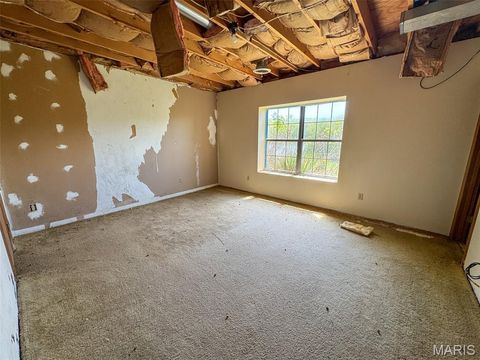 Tiny photo for 2551 Yellow Rock Road, De Soto, MO 63020 (MLS # 26024676)