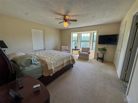 Tiny photo for 2551 Yellow Rock Road, De Soto, MO 63020 (MLS # 26024676)