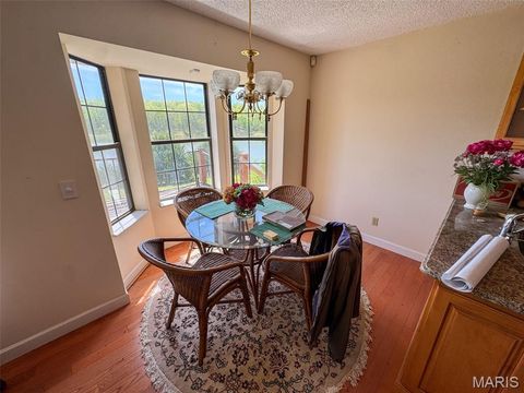 Tiny photo for 2551 Yellow Rock Road, De Soto, MO 63020 (MLS # 26024676)