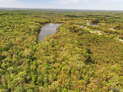 Tiny photo for 2551 Yellow Rock Road, De Soto, MO 63020 (MLS # 26024676)