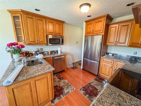Tiny photo for 2551 Yellow Rock Road, De Soto, MO 63020 (MLS # 26024676)