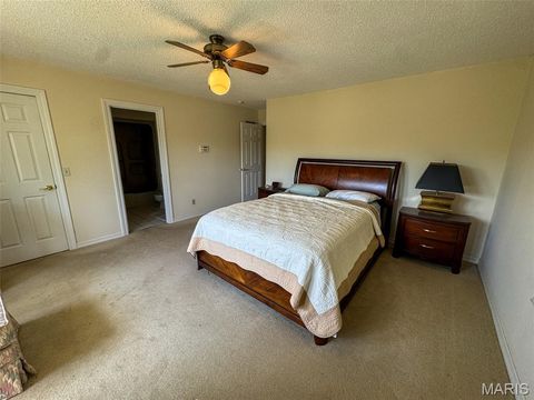 Tiny photo for 2551 Yellow Rock Road, De Soto, MO 63020 (MLS # 26024676)