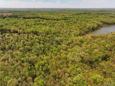Tiny photo for 2551 Yellow Rock Road, De Soto, MO 63020 (MLS # 26024676)