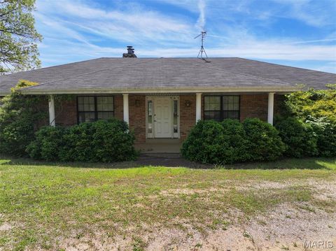 Tiny photo for 2551 Yellow Rock Road, De Soto, MO 63020 (MLS # 26024676)