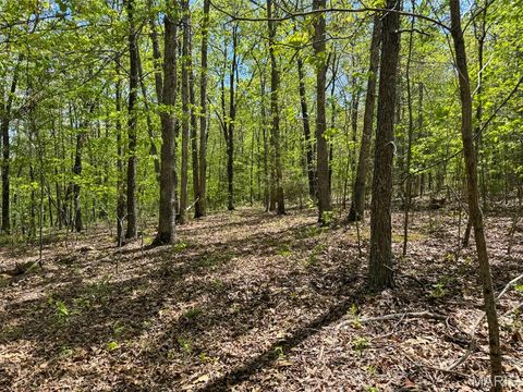 Tiny photo for 2551 Yellow Rock Road, De Soto, MO 63020 (MLS # 26024676)