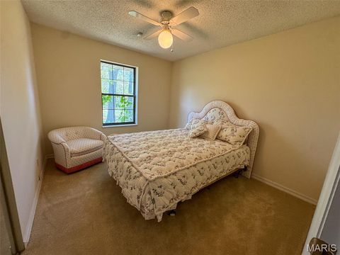 Tiny photo for 2551 Yellow Rock Road, De Soto, MO 63020 (MLS # 26024676)