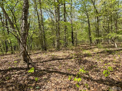 Tiny photo for 2551 Yellow Rock Road, De Soto, MO 63020 (MLS # 26024676)