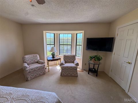 Tiny photo for 2551 Yellow Rock Road, De Soto, MO 63020 (MLS # 26024676)