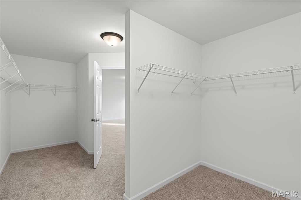 289 Osprey Court