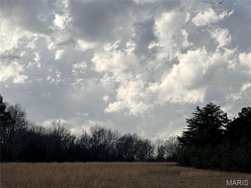 Welcome to your 11.4 acres to call home. Just awaiting your new Home 3 miles from Mexico and 28 miles from Columbia.   There are close to 146 acres available, in 10 different tracts. All have been surveyed and easements set for roadways to all tracks. Please contact an agent before entering the land