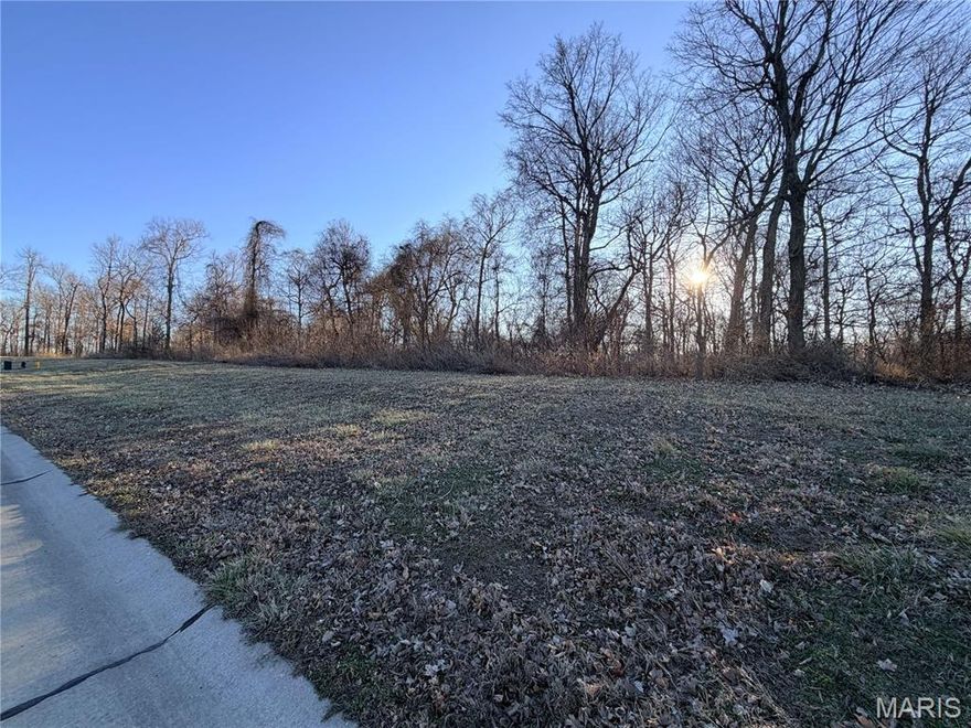 Build your dream home in the sought-after Dalhousie Subdivision! Very few lots remain in this desirable community located near the nationally ranked, private Dalhousie Golf Course.  This beautiful building lot is tucked along the side of the neighborhood, offering added privacy and a peaceful setting. The back of the property is lined with mature trees, creating a natural backdrop and extra seclusion. Public water, sewer, and electric are easily accessible, making it ready for your custom build.

Don’t miss this rare opportunity to secure a prime lot in a highly desirable location, perfect for bringing your vision to life!