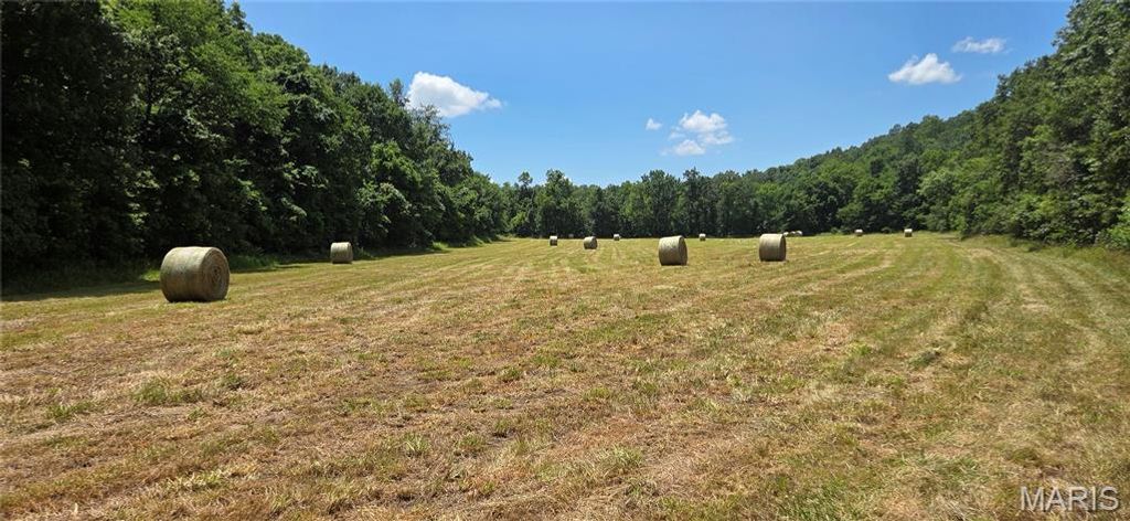 Photo of Steelville, MO 65565 (MLS # 26041207)