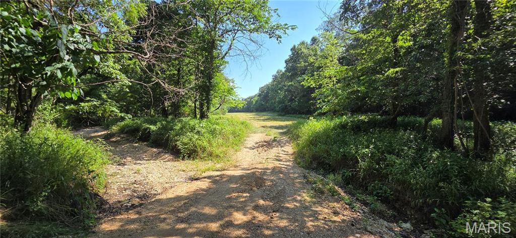 Photo of Steelville, MO 65565 (MLS # 26041207)