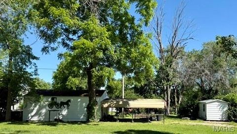 Tiny photo for 412 Monroe Street, Desloge, MO 63601 (MLS # 26030074)