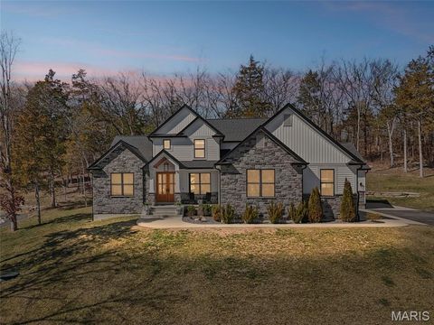 Photo of 1015 Frisco Hollows Road, Imperial, MO 63052 (MLS # 26018904)