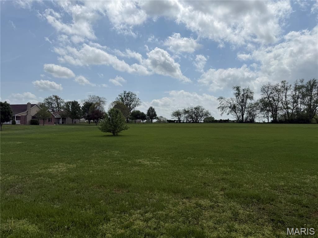 Photo of 6 Stone Creek St, Farmington, MO 63640 (MLS # 26023873)
