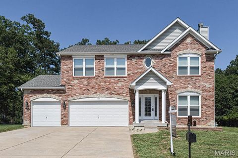 907 Palomino Path High Ridge MO 63049