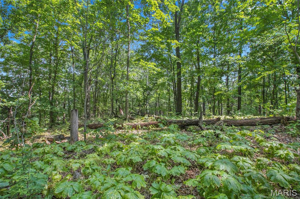 8.75 acres Mississippi Queen Court