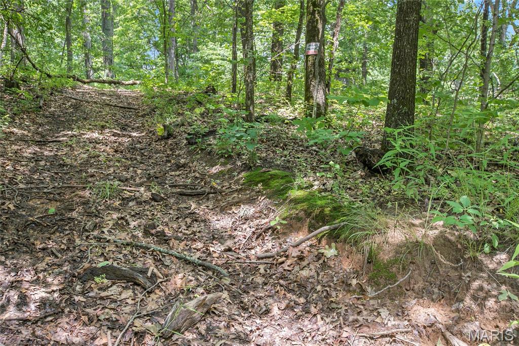 8.75 acres Mississippi Queen Court
