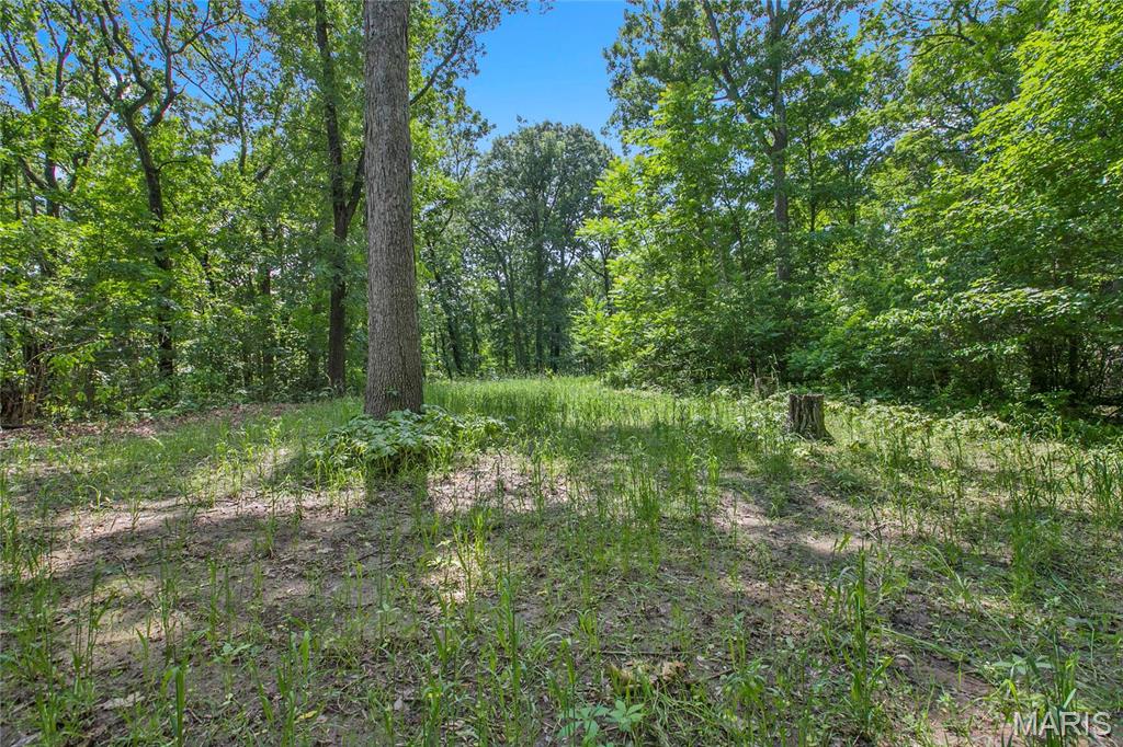 8.75 acres Mississippi Queen Court
