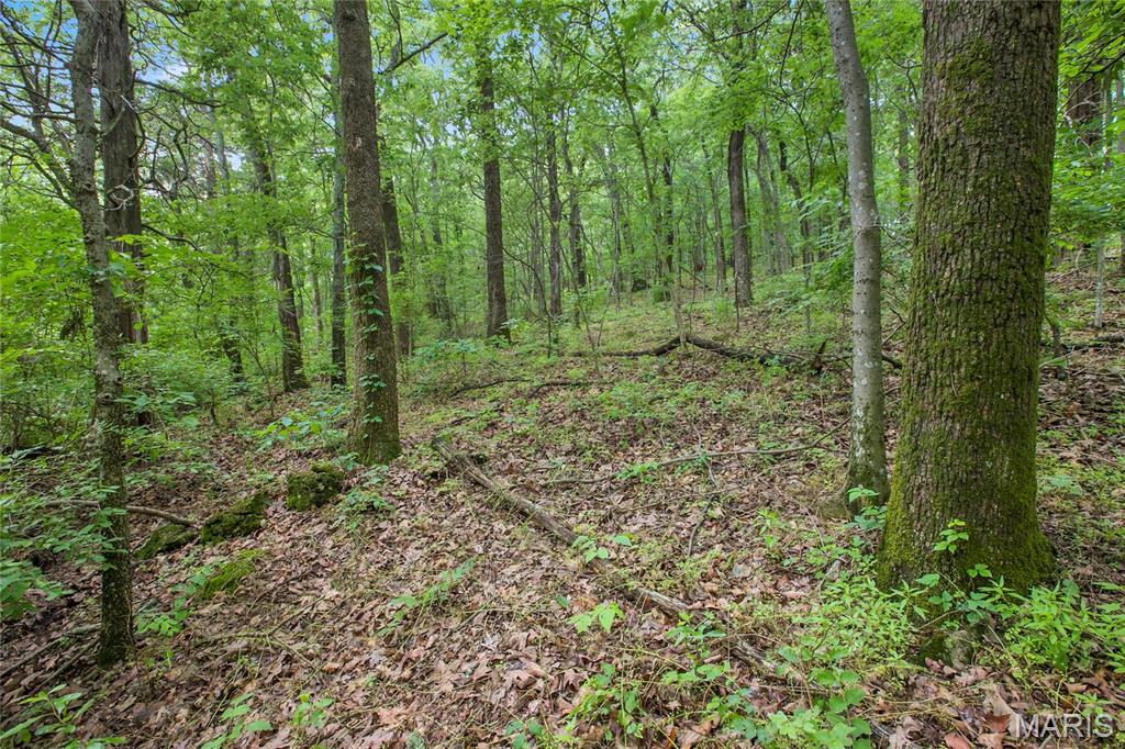 8.75 acres Mississippi Queen Court