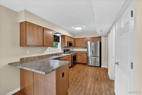 Tiny photo for 1071 Goss Court, Wentzville, MO 63385 (MLS # 25066809)
