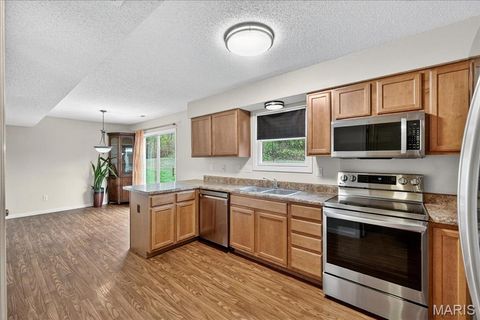 Tiny photo for 1071 Goss Court, Wentzville, MO 63385 (MLS # 25066809)