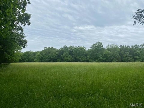 Tiny photo for 6944 Hillsboro Road, Bonne Terre, MO 63628 (MLS # 26058738)